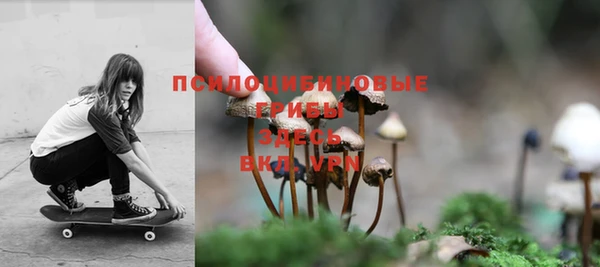 mix Арсеньев