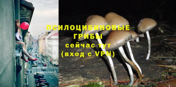 дживик Аркадак