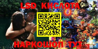 apvp Славгород
