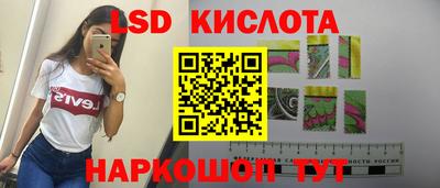 твердый Сланцы