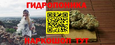 apvp Славгород