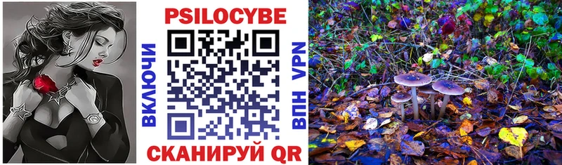 Галлюциногенные грибы Psilocybine cubensis  Новодвинск 