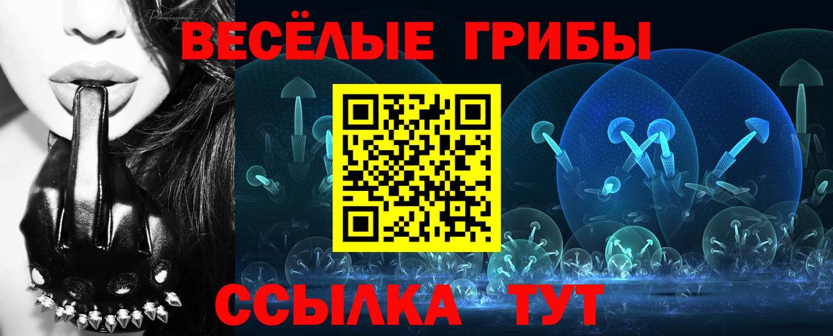 Псилоцибиновые грибы Psilocybine cubensis Новодвинск