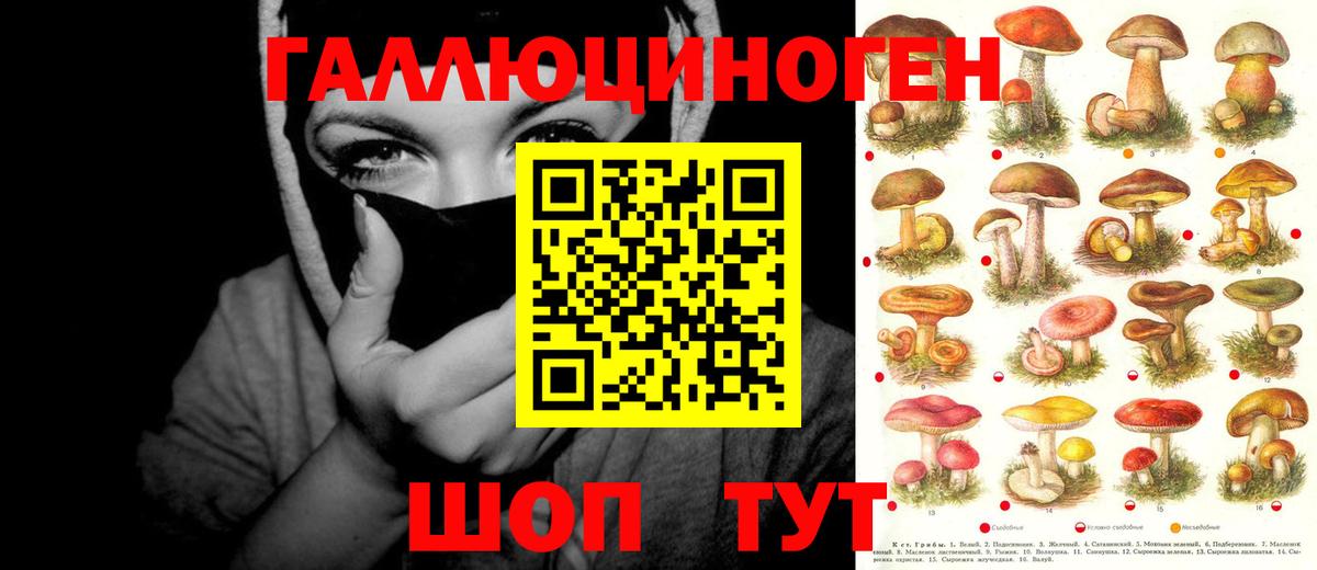 Новодвинск  Псилоцибиновые грибы Magic Shrooms  Вход с VPN 